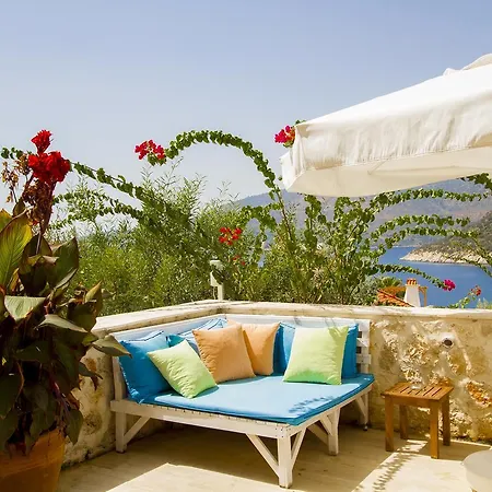 Papatya Kaş